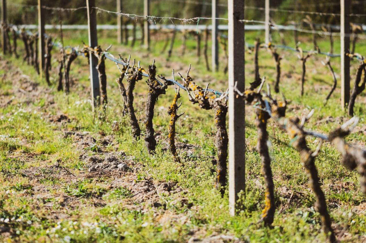 Binzas Betzas Agriturismo Sedilo Eksteriør billede