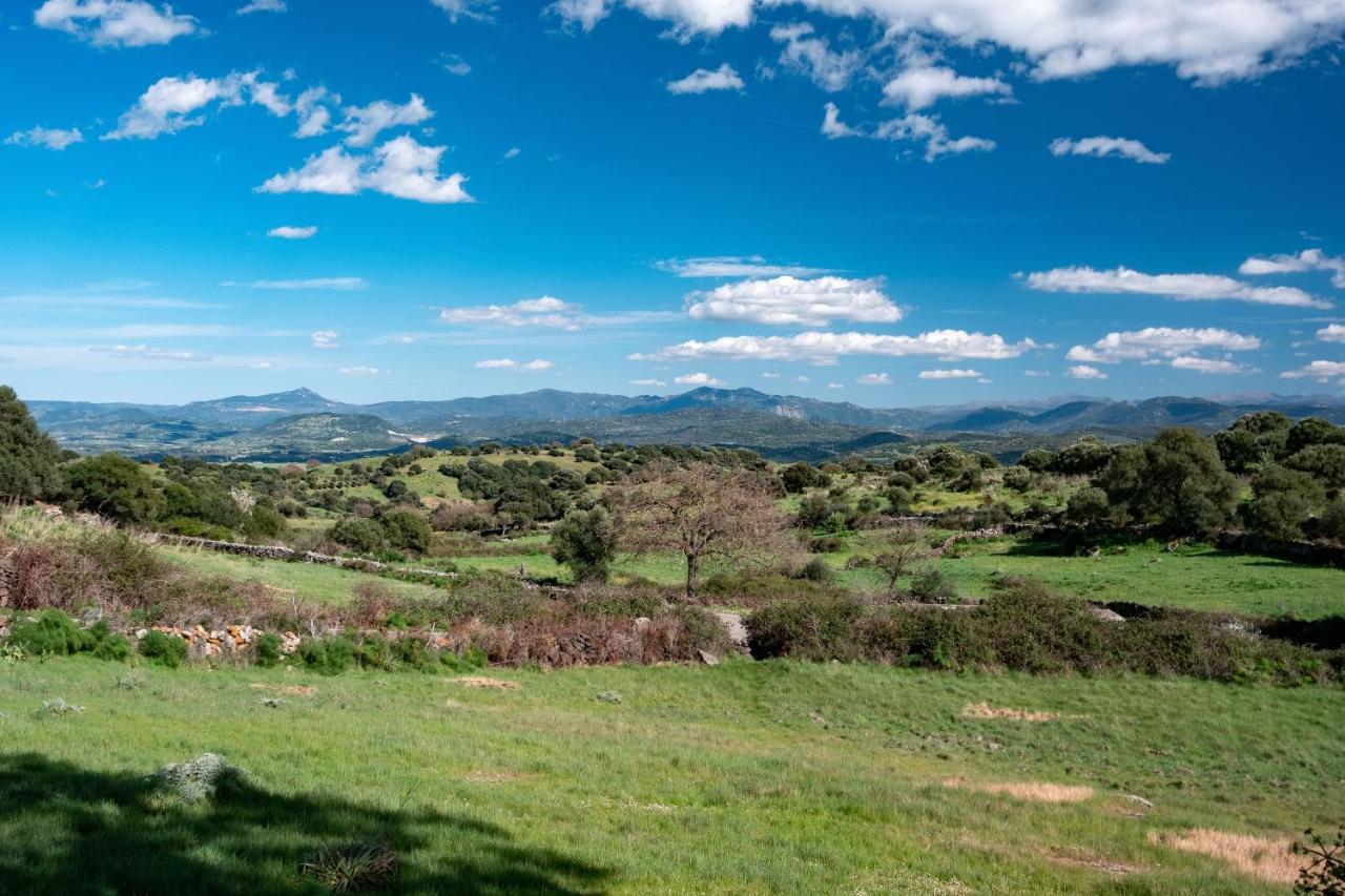 Binzas Betzas Agriturismo Sedilo Eksteriør billede