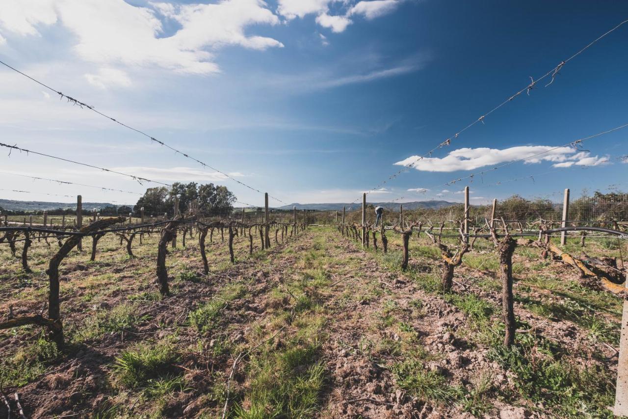 Binzas Betzas Agriturismo Sedilo Eksteriør billede